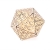 Icosaedru corp geometric platonic ornamental S
